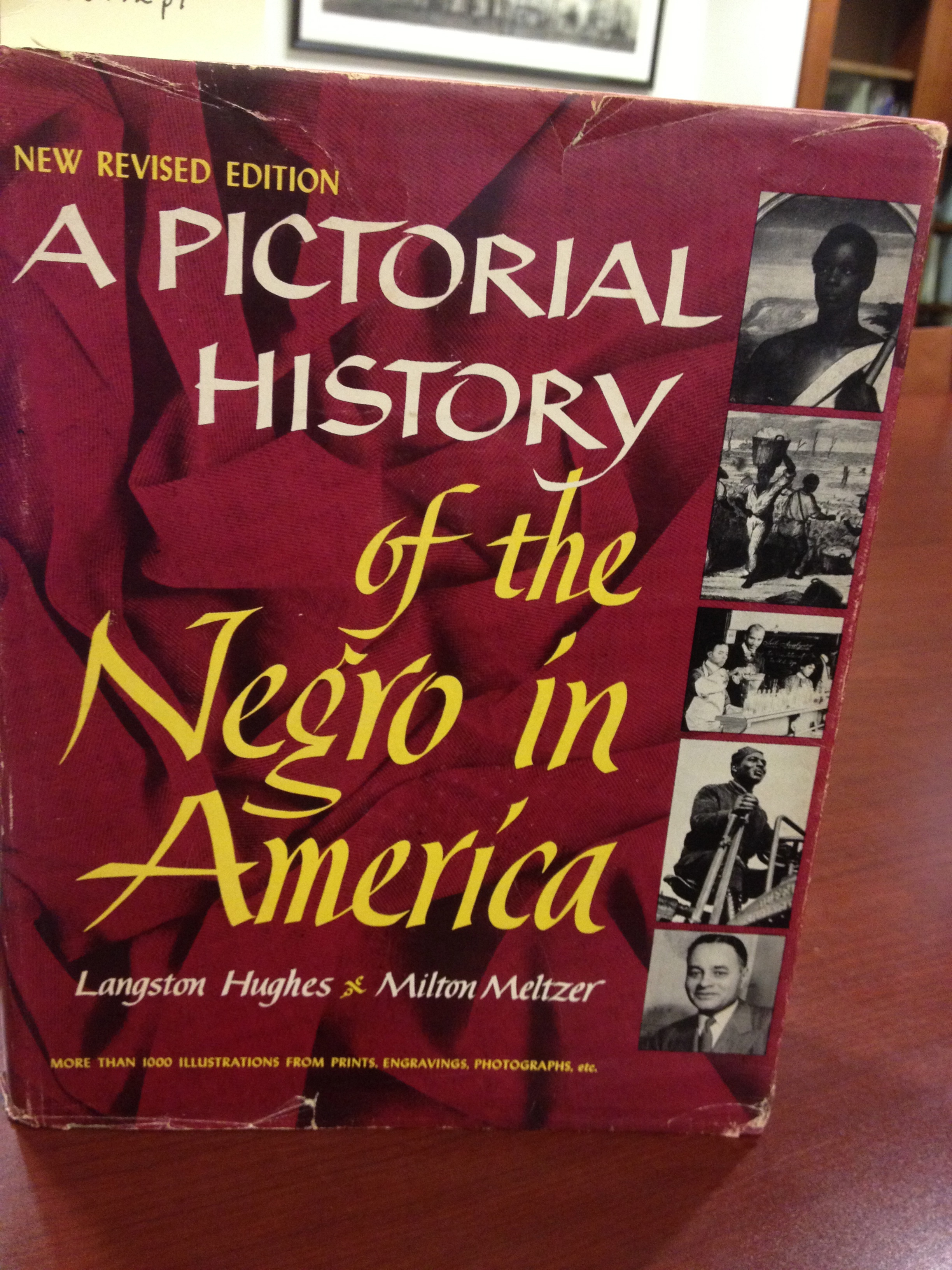 Milton meltzer a h raskin essay 04 image