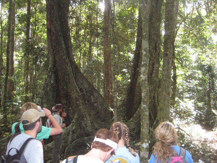 OReillys Day 1 - Travis guiding Our guide Travis explaining the rainforest to the students