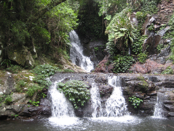 OReillys Day 3 - Elbana Falls Elbana Falls