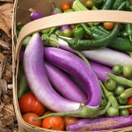 HOPE Gardens produce-UNC