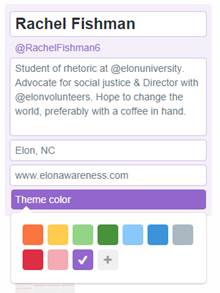 Twitter Theme Color