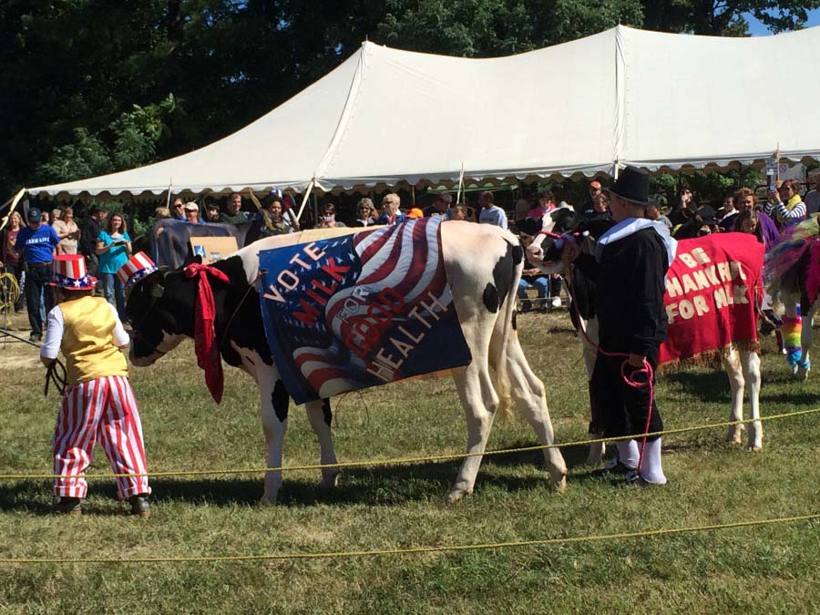 Asheboro Fall Festival Highway 64