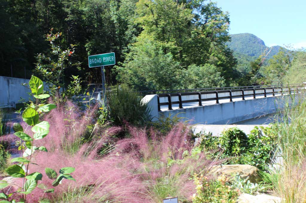 Flowering Bridge Lake Lure North Carolina