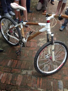 Bamboo Mountain Bike